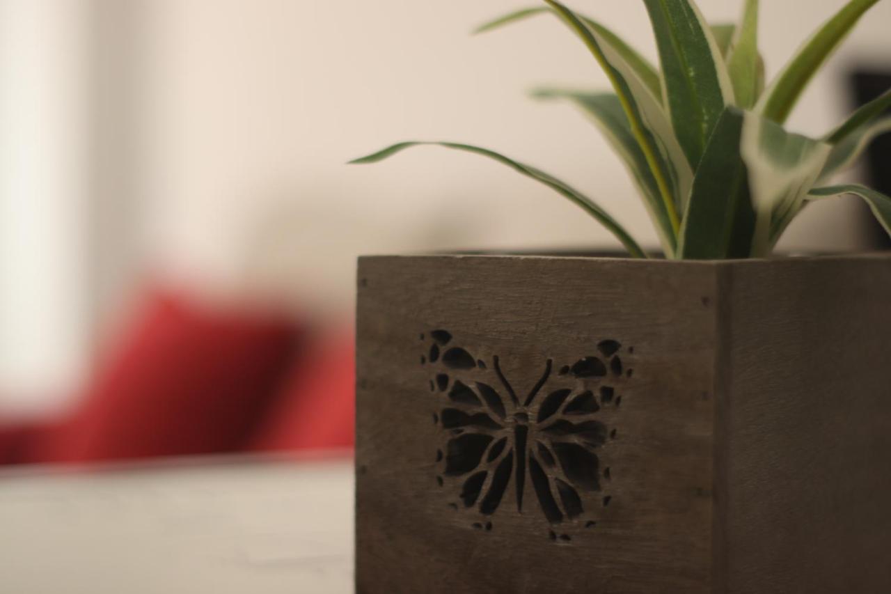 Apartamento Pleno Centro Junto Ayuntamiento Logroño Exteriör bild